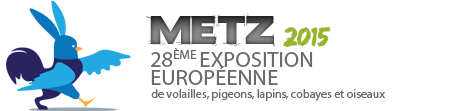 Logo metz2015